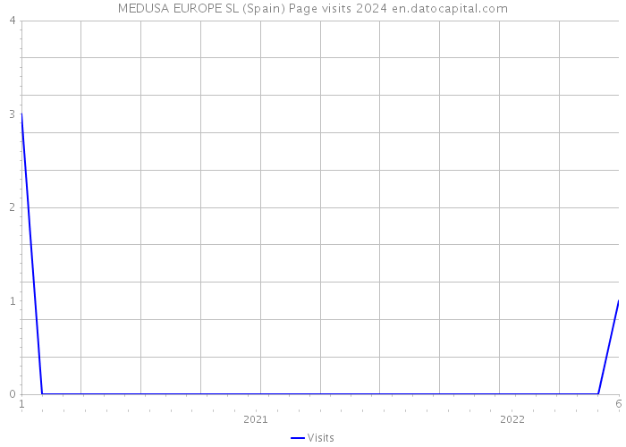 MEDUSA EUROPE SL (Spain) Page visits 2024 