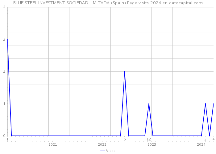 BLUE STEEL INVESTMENT SOCIEDAD LIMITADA (Spain) Page visits 2024 