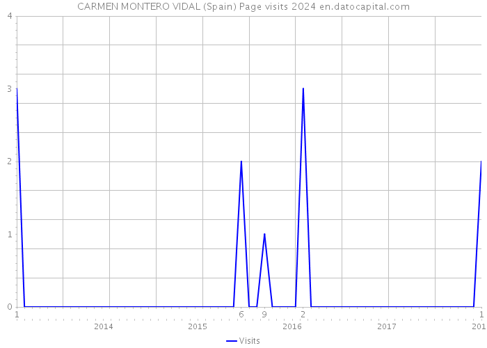 CARMEN MONTERO VIDAL (Spain) Page visits 2024 