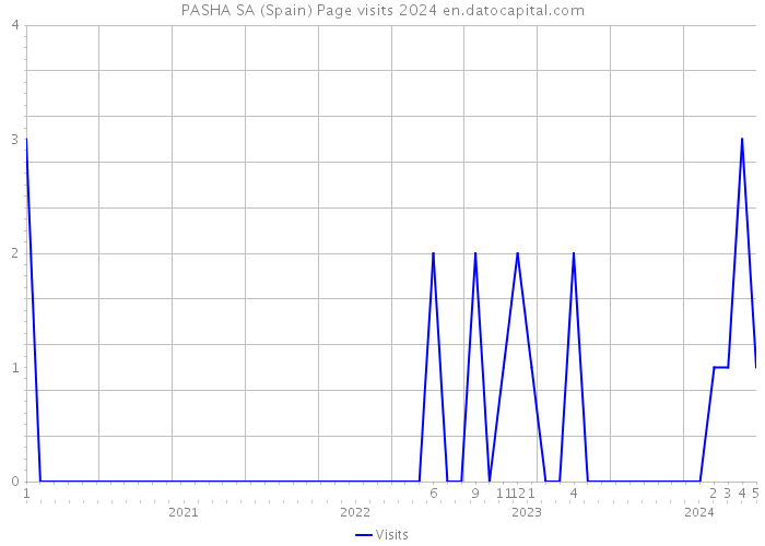 PASHA SA (Spain) Page visits 2024 