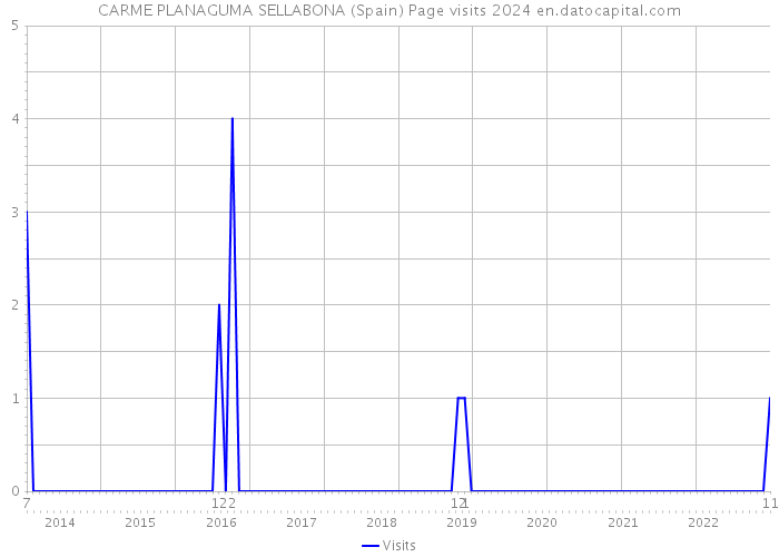 CARME PLANAGUMA SELLABONA (Spain) Page visits 2024 