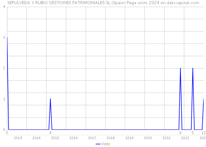 SEPULVEDA Y RUBIO GESTIONES PATRIMONIALES SL (Spain) Page visits 2024 
