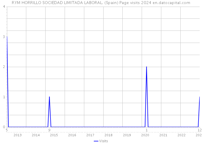 RYM HORRILLO SOCIEDAD LIMITADA LABORAL. (Spain) Page visits 2024 