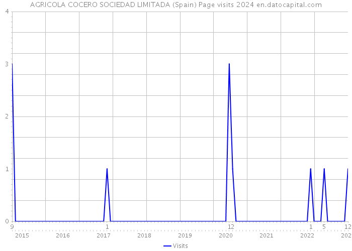 AGRICOLA COCERO SOCIEDAD LIMITADA (Spain) Page visits 2024 