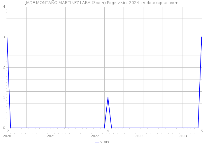 JADE MONTAÑO MARTINEZ LARA (Spain) Page visits 2024 