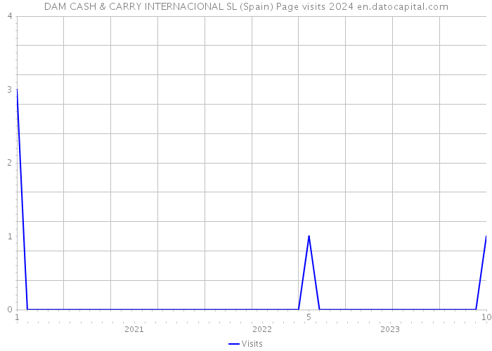 DAM CASH & CARRY INTERNACIONAL SL (Spain) Page visits 2024 