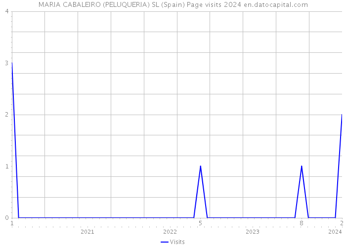 MARIA CABALEIRO (PELUQUERIA) SL (Spain) Page visits 2024 