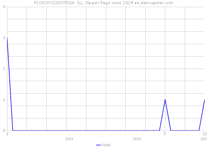 FLYSCH GOZOTEGIA S.L. (Spain) Page visits 2024 