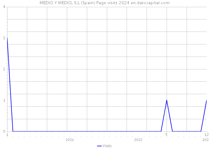 MEDIO Y MEDIO, S.L (Spain) Page visits 2024 