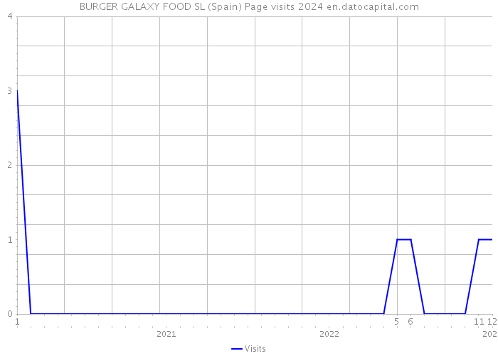 BURGER GALAXY FOOD SL (Spain) Page visits 2024 