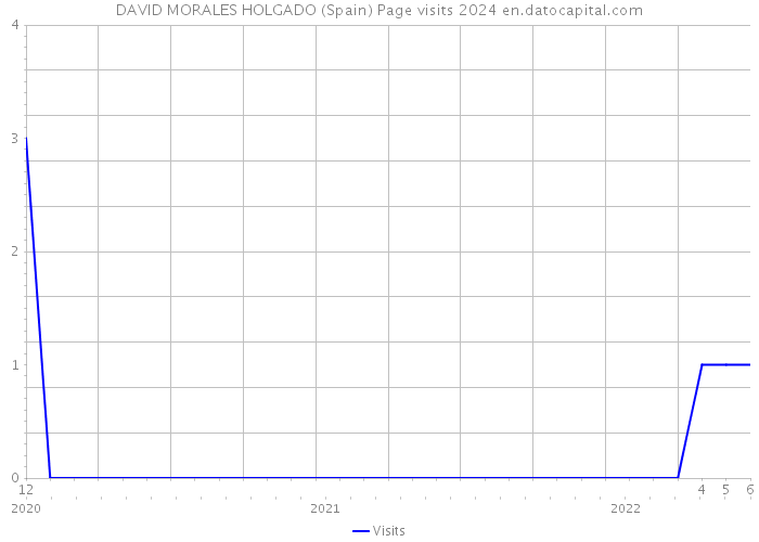 DAVID MORALES HOLGADO (Spain) Page visits 2024 