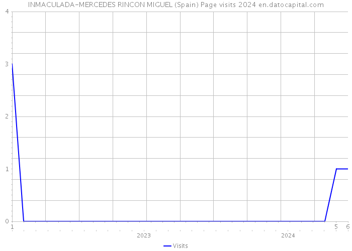 INMACULADA-MERCEDES RINCON MIGUEL (Spain) Page visits 2024 