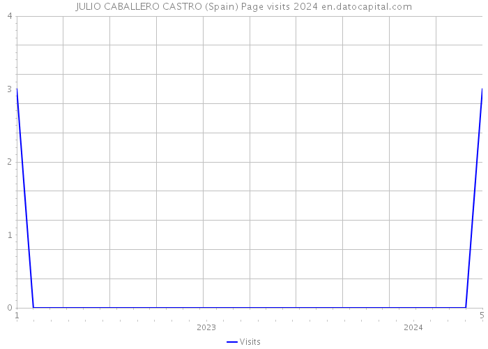 JULIO CABALLERO CASTRO (Spain) Page visits 2024 