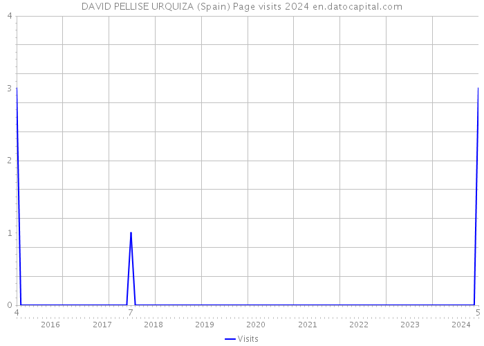DAVID PELLISE URQUIZA (Spain) Page visits 2024 