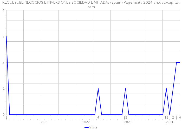 REQUEYUBE NEGOCIOS E INVERSIONES SOCIEDAD LIMITADA. (Spain) Page visits 2024 