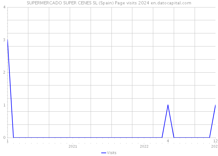 SUPERMERCADO SUPER CENES SL (Spain) Page visits 2024 