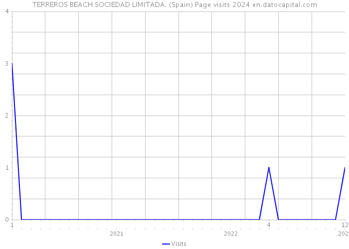 TERREROS BEACH SOCIEDAD LIMITADA. (Spain) Page visits 2024 