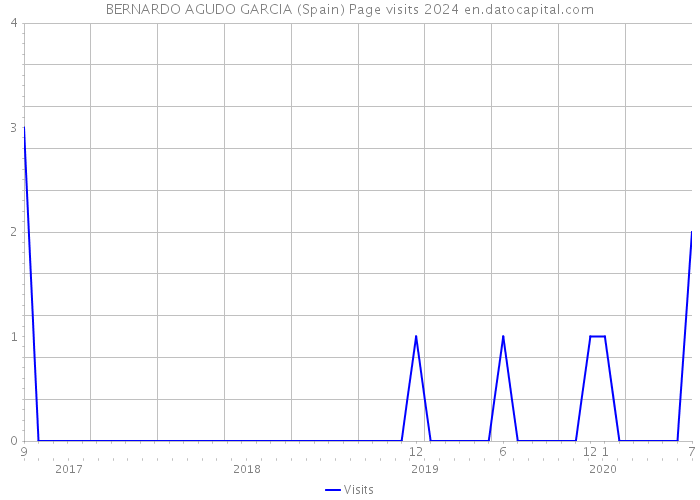 BERNARDO AGUDO GARCIA (Spain) Page visits 2024 