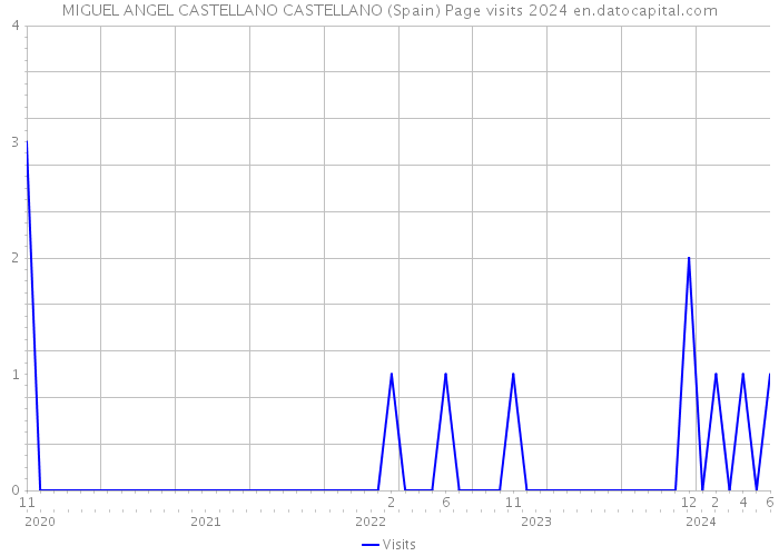MIGUEL ANGEL CASTELLANO CASTELLANO (Spain) Page visits 2024 