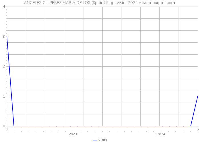 ANGELES GIL PEREZ MARIA DE LOS (Spain) Page visits 2024 