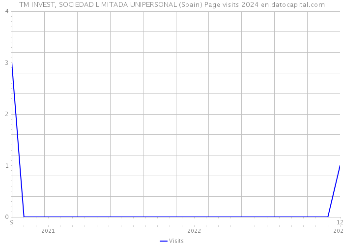 TM INVEST, SOCIEDAD LIMITADA UNIPERSONAL (Spain) Page visits 2024 