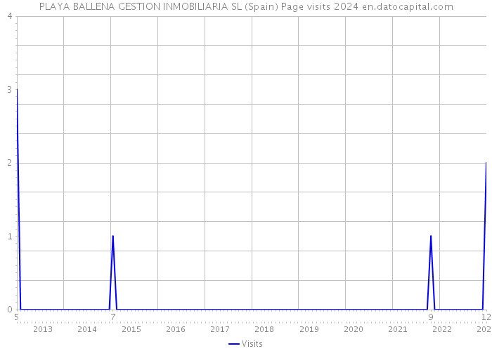 PLAYA BALLENA GESTION INMOBILIARIA SL (Spain) Page visits 2024 