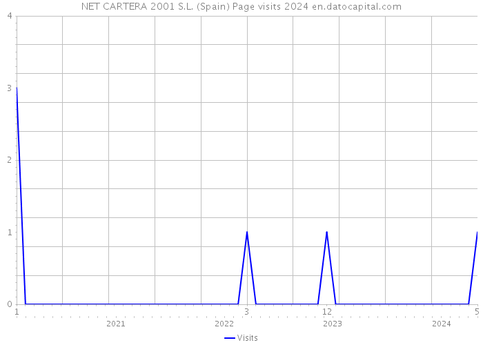 NET CARTERA 2001 S.L. (Spain) Page visits 2024 