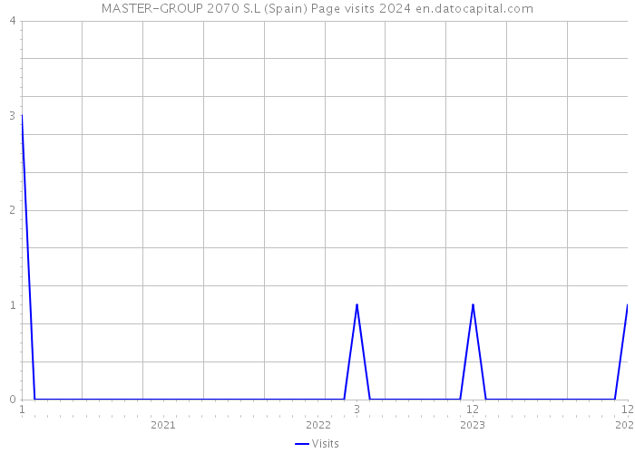 MASTER-GROUP 2070 S.L (Spain) Page visits 2024 