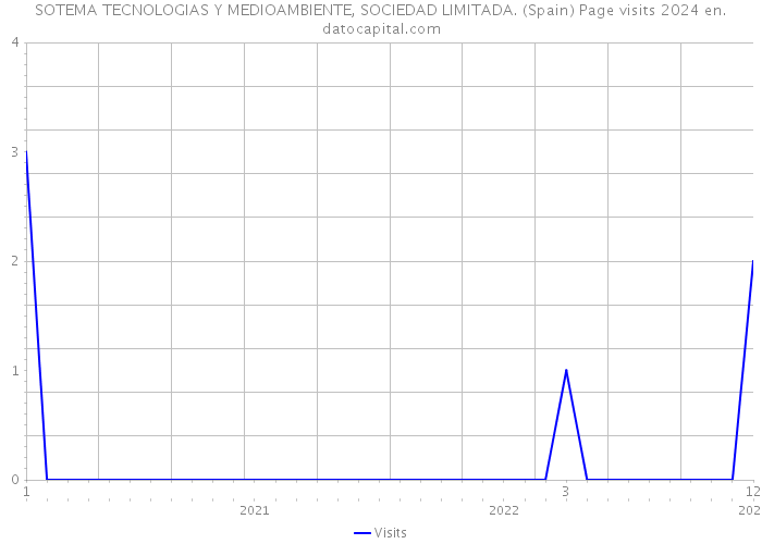 SOTEMA TECNOLOGIAS Y MEDIOAMBIENTE, SOCIEDAD LIMITADA. (Spain) Page visits 2024 