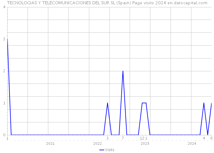 TECNOLOGIAS Y TELECOMUNICACIONES DEL SUR SL (Spain) Page visits 2024 