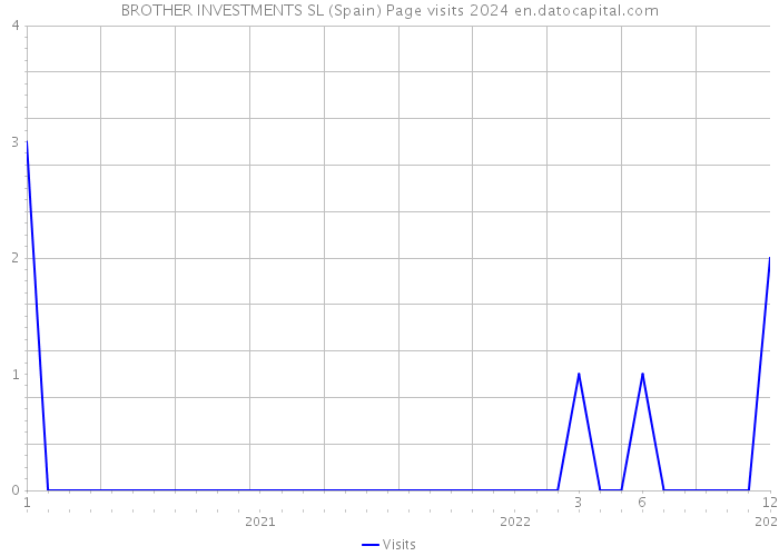 BROTHER INVESTMENTS SL (Spain) Page visits 2024 