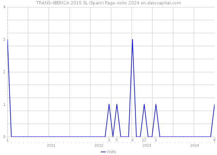 TRANS-IBERICA 2015 SL (Spain) Page visits 2024 