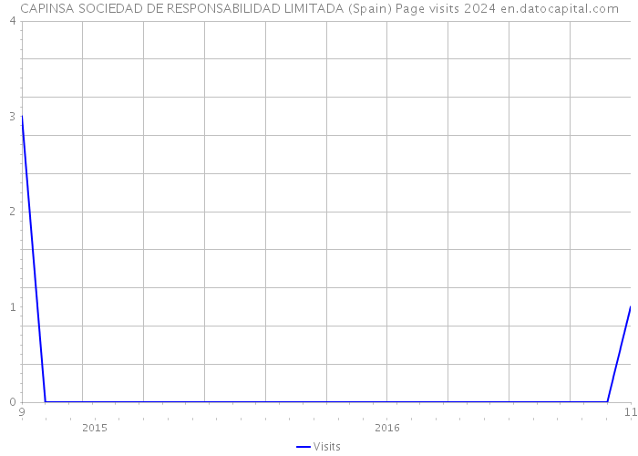 CAPINSA SOCIEDAD DE RESPONSABILIDAD LIMITADA (Spain) Page visits 2024 