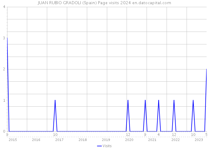 JUAN RUBIO GRADOLI (Spain) Page visits 2024 