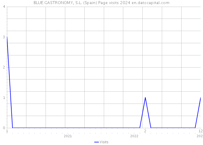 BLUE GASTRONOMY, S.L. (Spain) Page visits 2024 