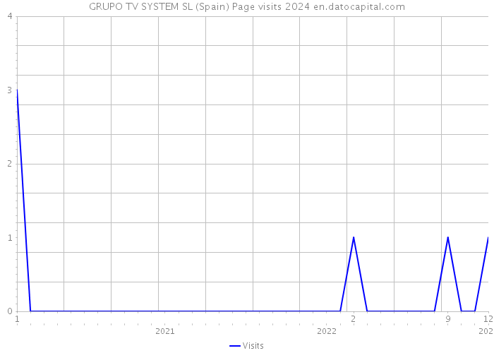 GRUPO TV SYSTEM SL (Spain) Page visits 2024 
