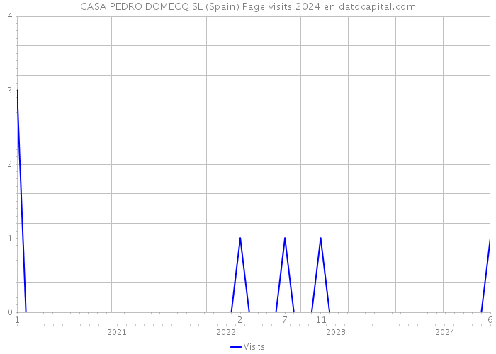 CASA PEDRO DOMECQ SL (Spain) Page visits 2024 