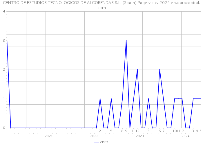 CENTRO DE ESTUDIOS TECNOLOGICOS DE ALCOBENDAS S.L. (Spain) Page visits 2024 