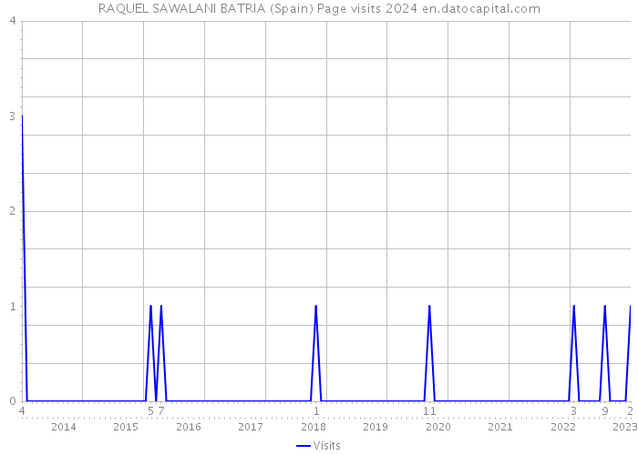 RAQUEL SAWALANI BATRIA (Spain) Page visits 2024 