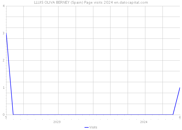 LLUIS OLIVA BERNEY (Spain) Page visits 2024 