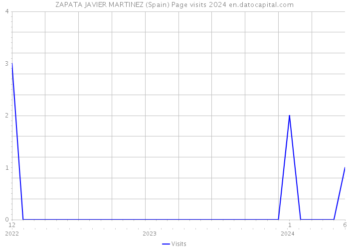 ZAPATA JAVIER MARTINEZ (Spain) Page visits 2024 