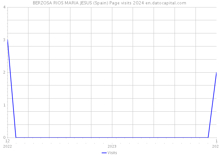 BERZOSA RIOS MARIA JESUS (Spain) Page visits 2024 