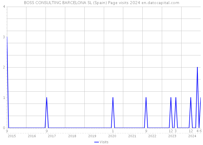 BOSS CONSULTING BARCELONA SL (Spain) Page visits 2024 