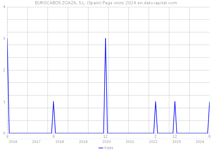 EUROCABOS ZOAZA, S.L. (Spain) Page visits 2024 