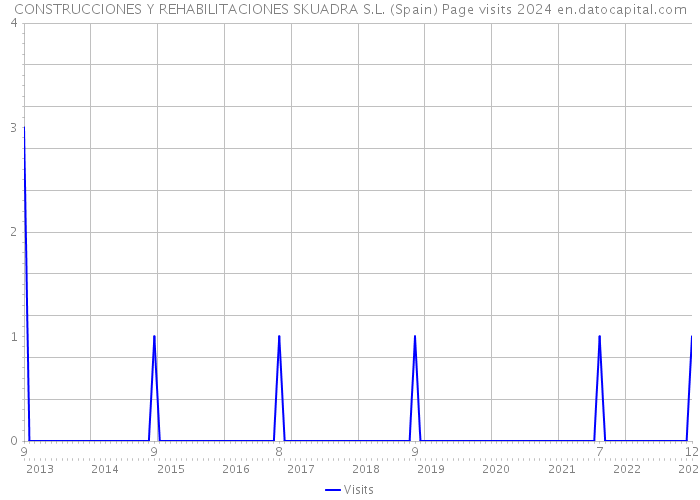 CONSTRUCCIONES Y REHABILITACIONES SKUADRA S.L. (Spain) Page visits 2024 