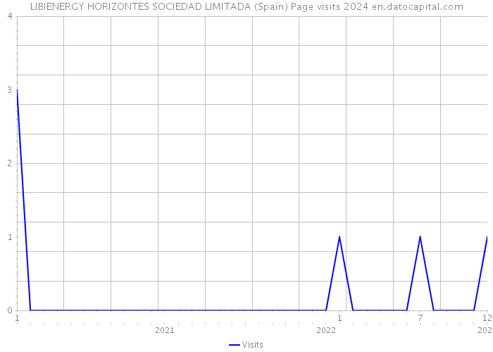 LIBIENERGY HORIZONTES SOCIEDAD LIMITADA (Spain) Page visits 2024 