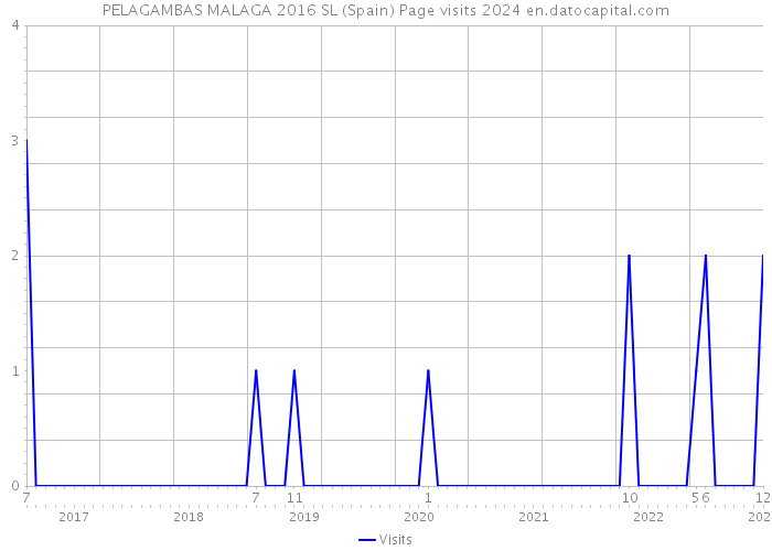 PELAGAMBAS MALAGA 2016 SL (Spain) Page visits 2024 