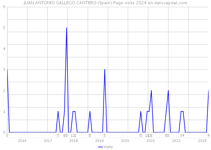JUAN ANTONIO GALLEGO CANTERO (Spain) Page visits 2024 