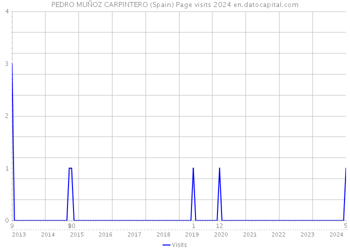 PEDRO MUÑOZ CARPINTERO (Spain) Page visits 2024 