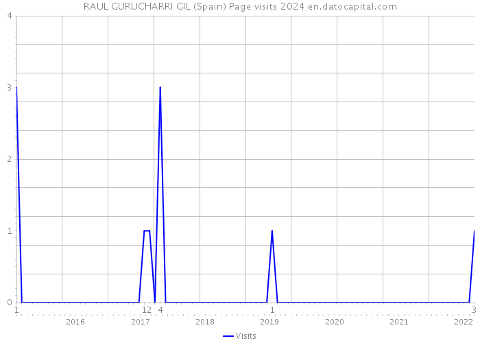 RAUL GURUCHARRI GIL (Spain) Page visits 2024 